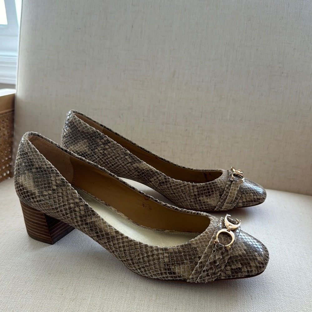 Coach Snakeskin Patterned Women's Shoes
